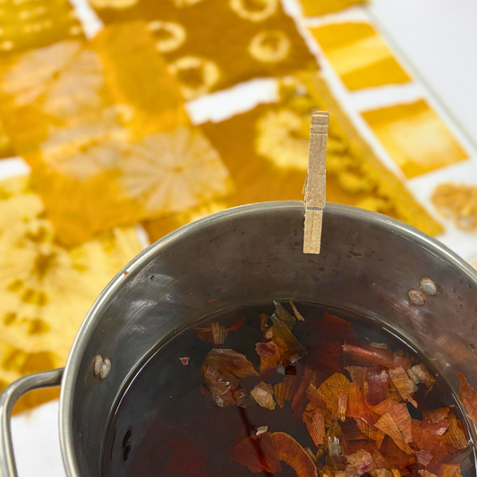 Intro to Natural Dyeing // Fri, November 22 // all ages